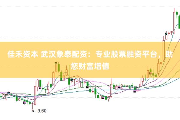 佳禾资本 武汉象泰配资：专业股票融资平台，助您财富增值