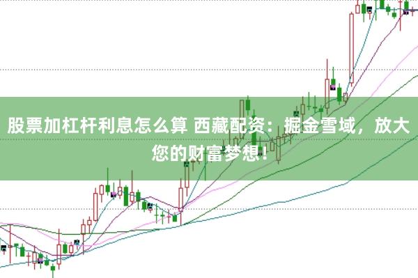 股票加杠杆利息怎么算 西藏配资：掘金雪域，放大您的财富梦想！