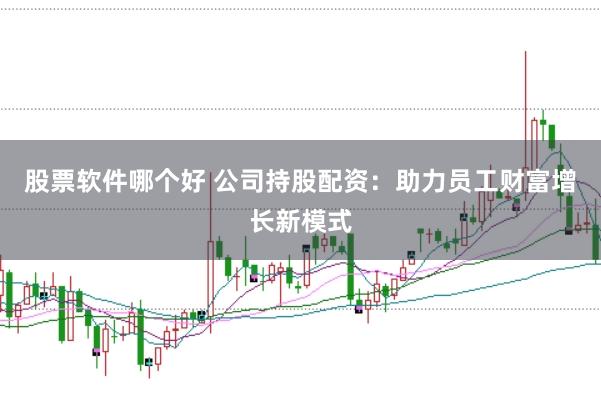 股票软件哪个好 公司持股配资：助力员工财富增长新模式
