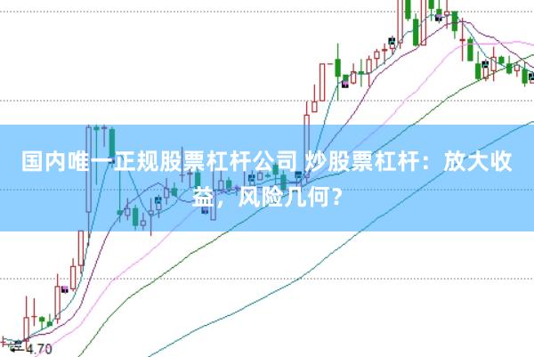 国内唯一正规股票杠杆公司 炒股票杠杆：放大收益，风险几何？