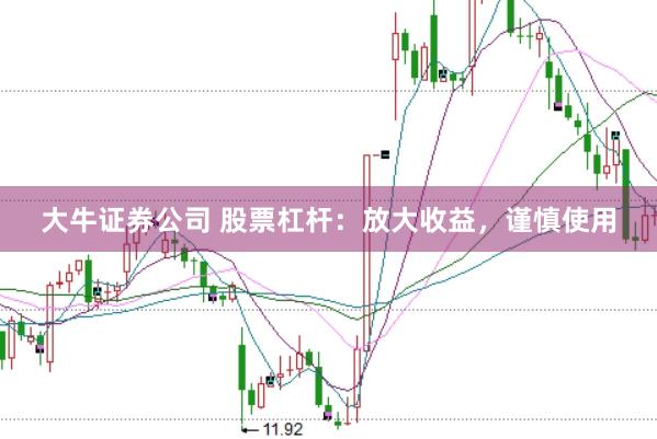 大牛证券公司 股票杠杆：放大收益，谨慎使用