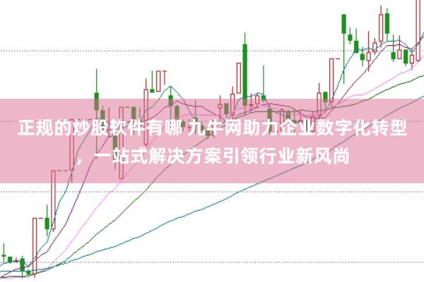 正规的炒股软件有哪 九牛网助力企业数字化转型，一站式解决方案引领行业新风尚