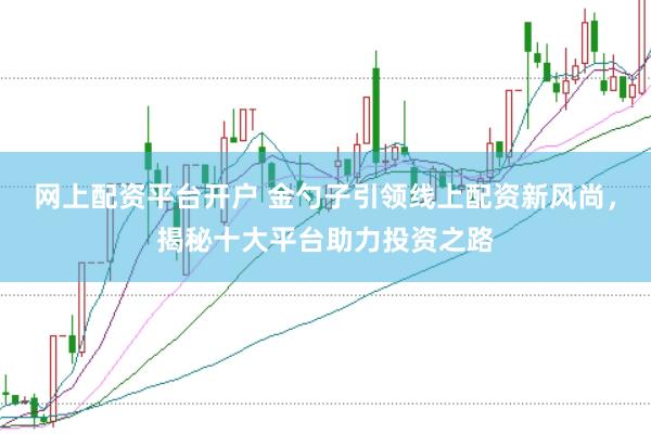 网上配资平台开户 金勺子引领线上配资新风尚，揭秘十大平台助力投资之路