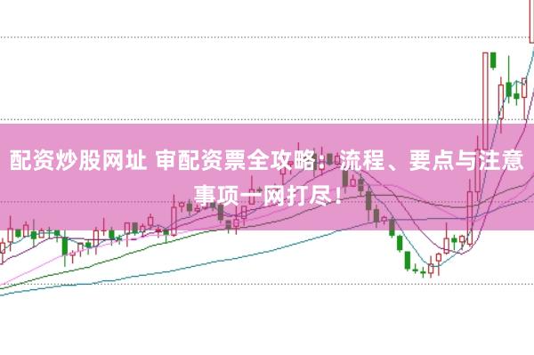 配资炒股网址 审配资票全攻略：流程、要点与注意事项一网打尽！