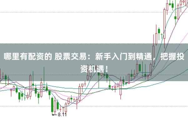哪里有配资的 股票交易：新手入门到精通，把握投资机遇！
