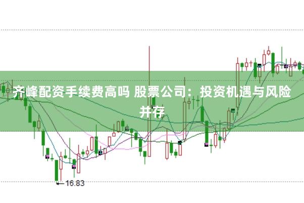 齐峰配资手续费高吗 股票公司：投资机遇与风险并存