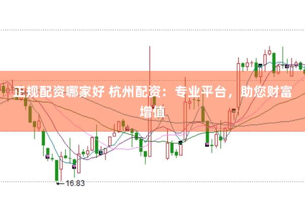 正规配资哪家好 杭州配资：专业平台，助您财富增值