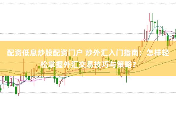 配资低息炒股配资门户 炒外汇入门指南：怎样轻松掌握外汇交易技巧与策略？