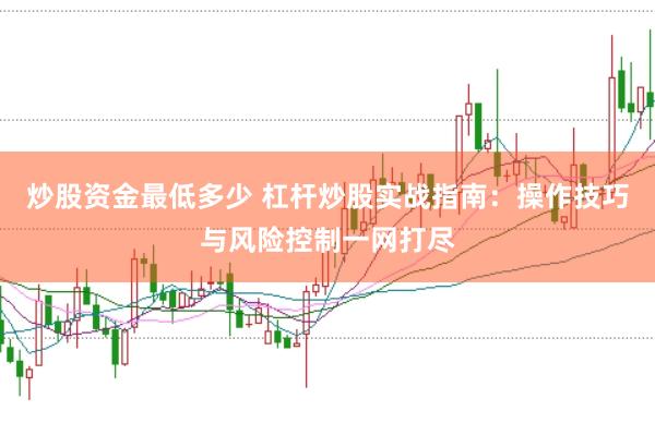 炒股资金最低多少 杠杆炒股实战指南:操作技巧与风险控制一网打尽