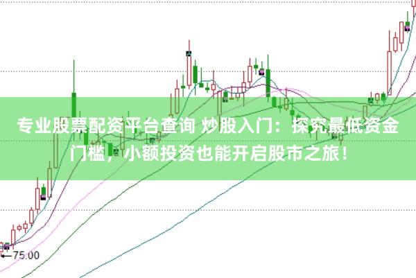 专业股票配资平台查询 炒股入门:探究最低资金门槛,小额投资也能开启股市之旅!