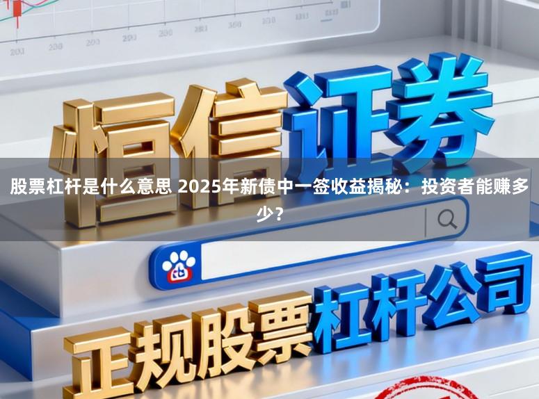 股票杠杆是什么意思 2025年新债中一签收益揭秘:投资者能赚多少?