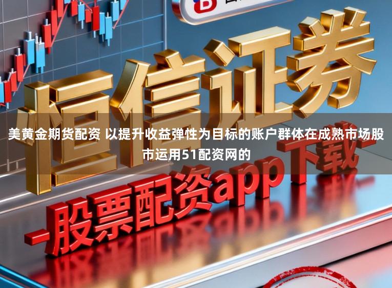 美黄金期货配资 以提升收益弹性为目标的账户群体在成熟市场股市运用51配资网的