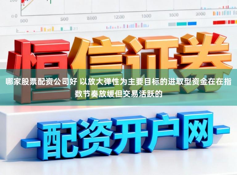 哪家股票配资公司好 以放大弹性为主要目标的进取型资金在在指数节奏放缓但交易活跃的