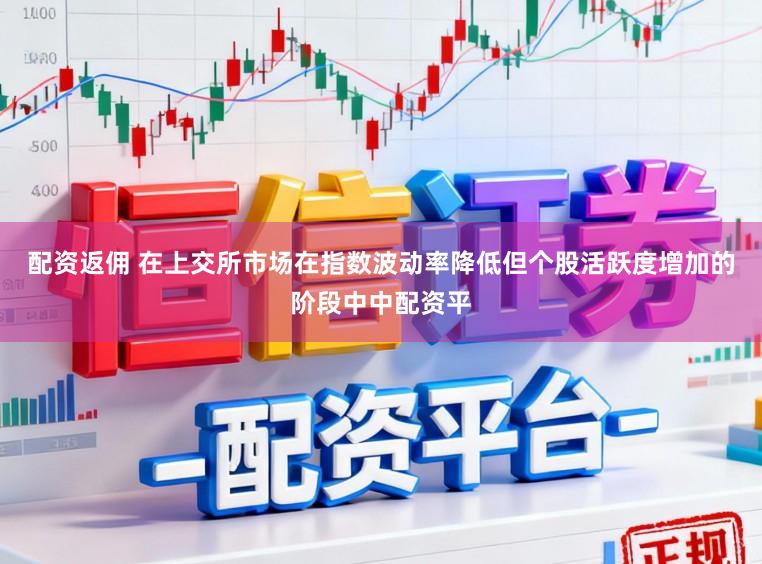 配资返佣 在上交所市场在指数波动率降低但个股活跃度增加的阶段中中配资平