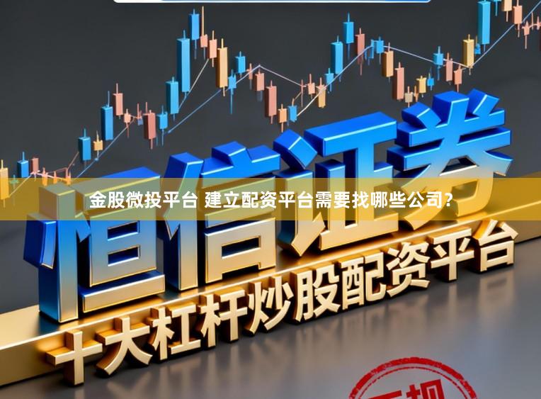 金股微投平台 建立配资平台需要找哪些公司？